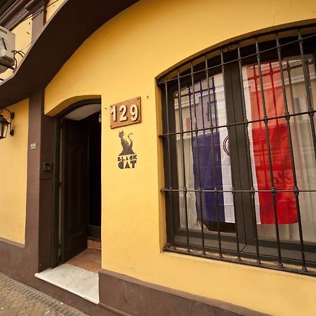 Black Cat Hostel 아순시온 외부 사진