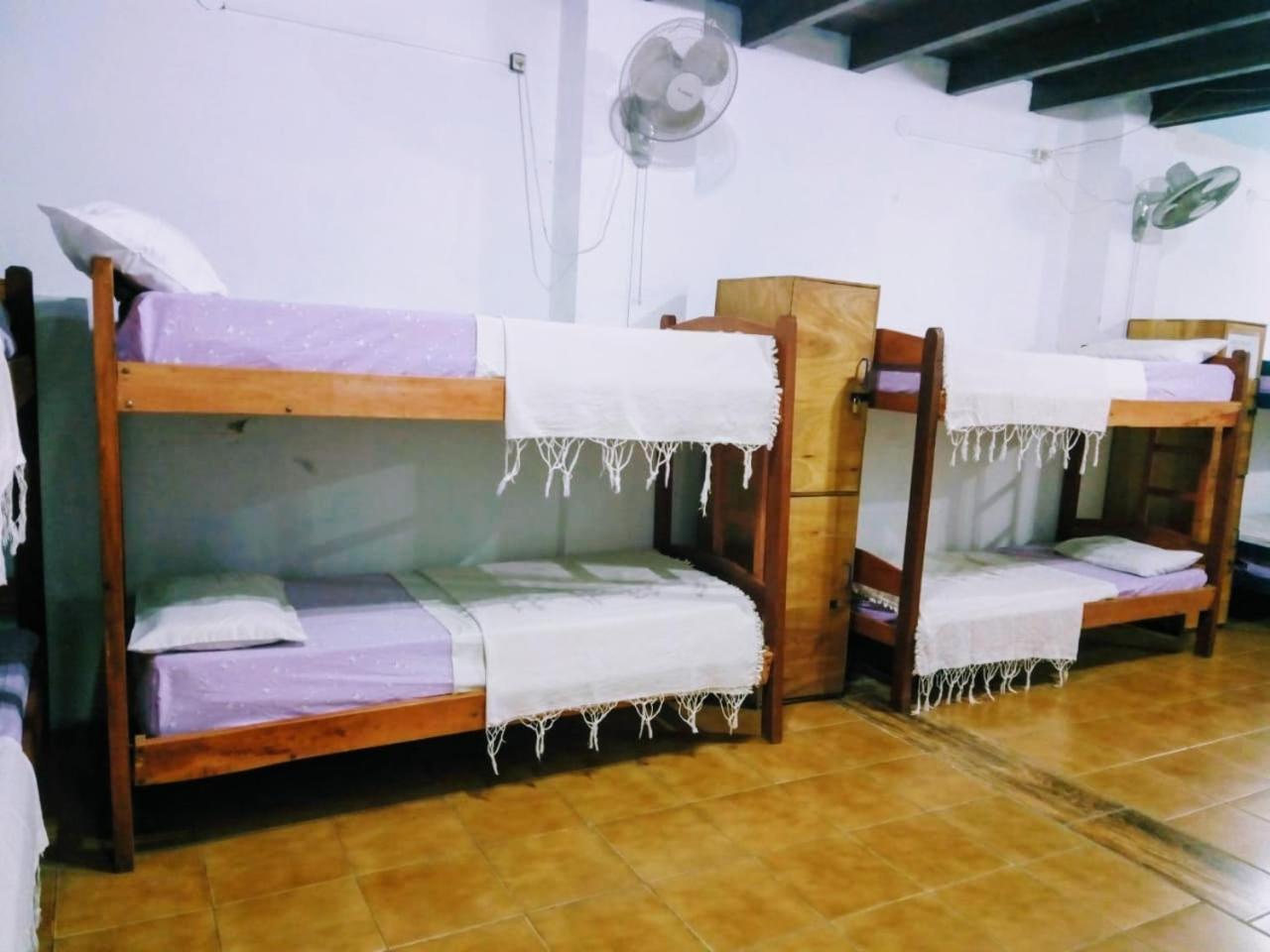 Black Cat Hostel 아순시온 외부 사진