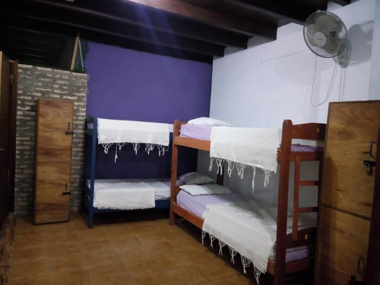 Black Cat Hostel 아순시온 외부 사진